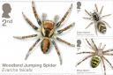 A set of 10 stamps featuring illustrations of spiders has been released by the Royal Mail