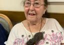 Melbourn Springs Care Home residents met therapy animals