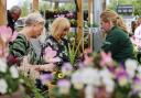 Dobbies is hosting the free session in May