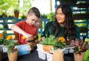 Hannah McAtamney from Dobbies’ Antrim store with Ronan at a recent Little Seedlings Club session