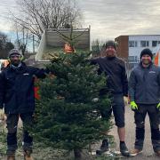 Volunteers and settle employees collected and shredded more than 1,000 Christmas trees in exchange for a donation to Garden House Hospice Care