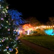 Garden House Hospice Care's Lights of Life Festival was held over the weekend for people to remember lost loved ones