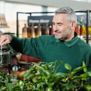 Dobbies garden centre in Royston is offering horticultural classes for children and adults in January