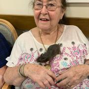 Melbourn Springs Care Home residents met therapy animals