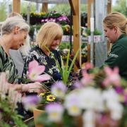 Dobbies is hosting the free session in May