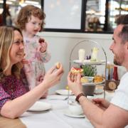 Dobbies' Royston store is reintroducing its Afternoon Tea and Planting Experience
