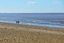 Dog walkers at Heacham beach