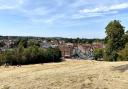 Parched grass atop Windmill Hill in Hitchin, Hertfordshire on Saturday, August 6