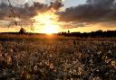 Sunset from a footpath in Walkern.