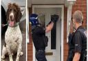 Police dog Bruce lent a helping paw as arrests were made in Cambourne for suspected drug dealing