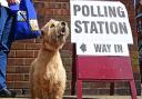 May 6th is polling day across Cambridgeshire and Peterborough. Returning officers for both have issued guidance to ensure you can vote in a Covid-safe way.