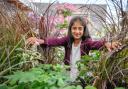 The Little Seedlings workshop takes place at Dobbies Royston