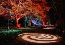 The Christmas at Wimpole Spiral Trees display