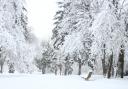 Hertfordshire residents woke up to snow fall this morning.