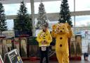 Rotarian David Beardwell with Pudsey