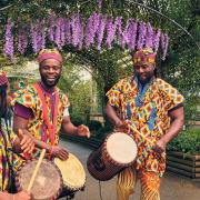 African drummers at Summer Evenings in Paradise at Paradise Wildlife Park in Hertfordshire.