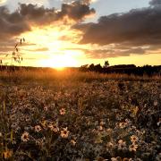 Sunset from a footpath in Walkern.