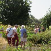 Visitors to the Luton Hoo estate walled garden