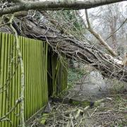 A tree fell on Keith and Sarah Kearney's home in Royston during Storm Eunice