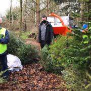 Garden House Hospice Care collected more than 600 trees last year