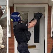 Police dog Bruce lent a helping paw as arrests were made in Cambourne for suspected drug dealing