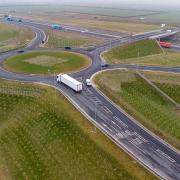 A “large proportion” of the nearly one million trees planted as part of the A14 upgrade in Cambridgeshire have died, a council report has said.