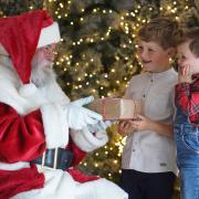 Children can visit Santa's Grotto at Dobbies' Royston store