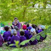 Pupils from Barley and Barkway First Schools Federation took part in Forest School