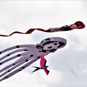 Kites flying at a previous Royston Kite Festival