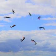 Kites circling above Therfield Heath at this year's festival