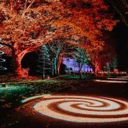 The Christmas at Wimpole Spiral Trees display