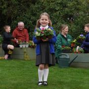 Dobbies in Royston has launched a community gardens project