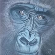 A gorilla picture by Sharon Martin