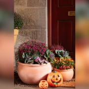 The seasonal activities aim to inspire gardening enthusiasts of all ages to embrace the wonders of autumn