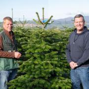 Dobbies' plant buyer Nigel Lawton with Kenneth Mitchell from Needlefresh