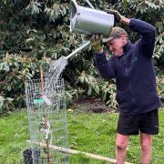 Tree planting in South Cambs as part of the Six Free Trees scheme