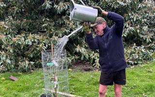 Tree planting in South Cambs as part of the Six Free Trees scheme