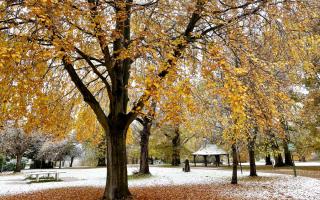 Snow image from the Watford Observer Camera Club today (November 19).